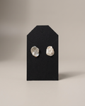 Oyster Shell Earrings-1